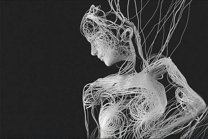 Réseau fascial et musculaire du corps humain, sous le titre "Human fascial network & biotensegrity: architecture of life"